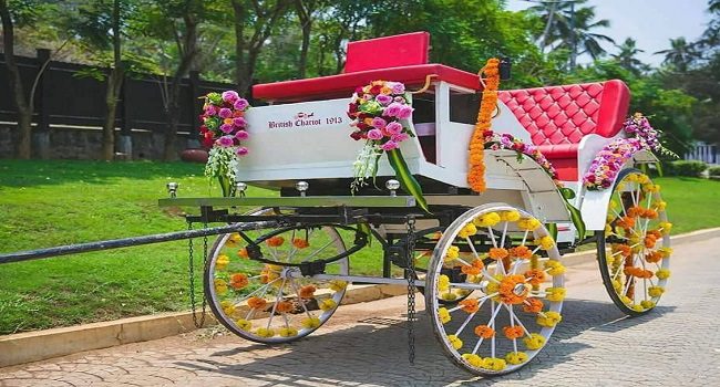 Rustic Cart Ride entry idea for bride and groom